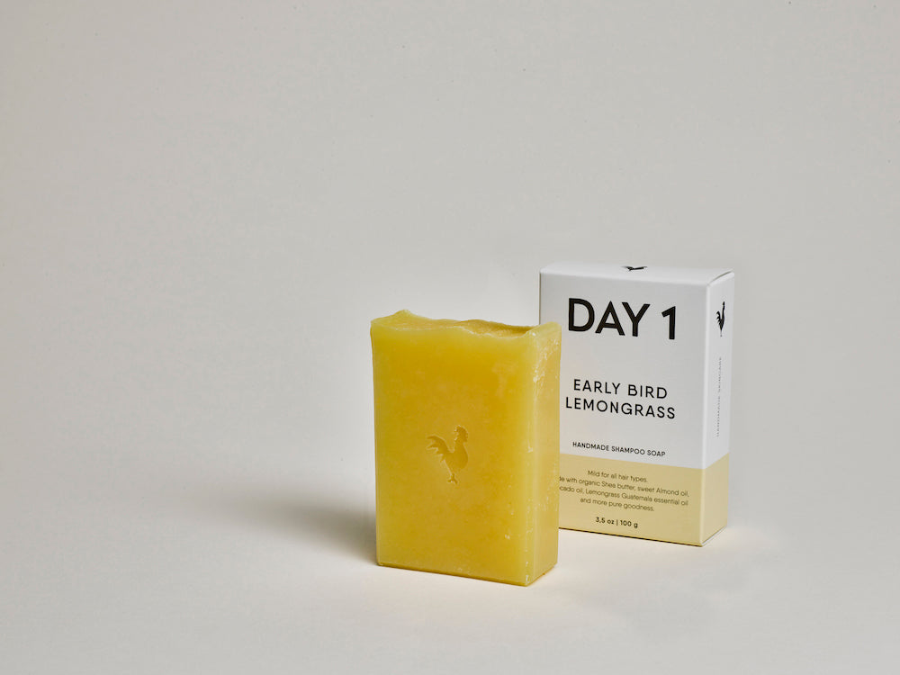 DAY 1 Shampoo Soap Bar