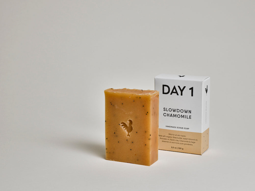 DAY 1 Scrub Soap Bar