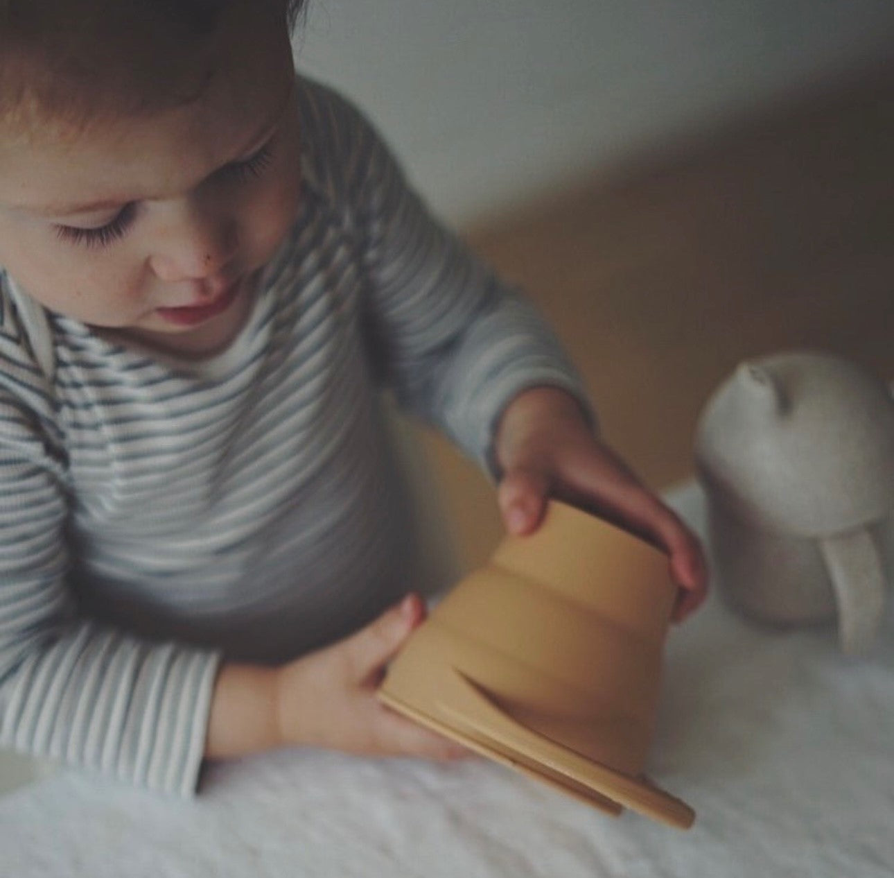 Snack Cup (met deksel & inklapbaar) - Tumble